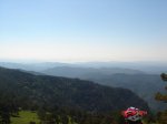 DSC01526.jpg