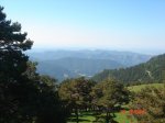 DSC01528.jpg