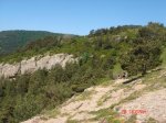 DSC01529.jpg