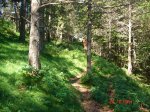 DSC01530.jpg