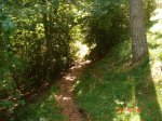 DSC01531.jpg