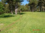 DSC01533.jpg