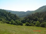 DSC01535.jpg