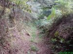 DSC00706.jpg