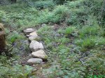 DSC00707.jpg