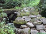 DSC00711.jpg