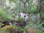 DSC00712.jpg