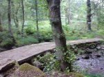 DSC00715.jpg