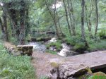 DSC00716.jpg