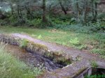 DSC00719.jpg