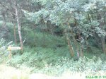 DSC00724.jpg