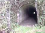 DSC00728.jpg