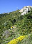 Imagen 011.jpg