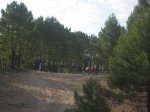 IMG_1748.jpg