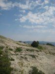 IMG_1805.jpg