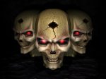 Fondo Calaveras.jpg