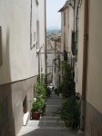 IMG_0217.JPG