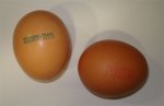 codigo_de_los_huevos.jpg