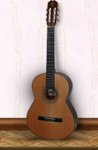 gitara.jpg