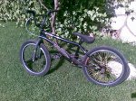 05072008093.jpg