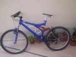 bici entera.jpg