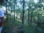 Foto1.JPG