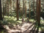 Foto6.JPG