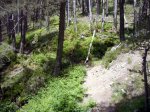 Foto40.JPG