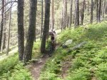 Foto42.JPG