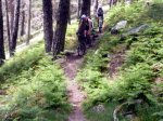 Foto43.JPG