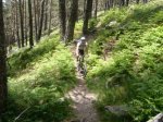 Foto47.JPG
