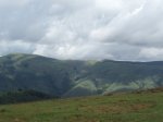 P7051641.jpg