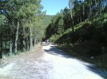 06- 07- 2008 005.jpg