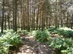 Foto5.JPG