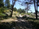 Foto6.JPG