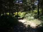 Foto7.JPG