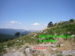 Foto17.JPG