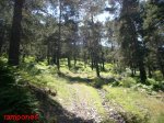 Foto38.JPG
