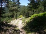 Foto39.JPG