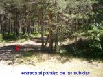 Foto41.JPG