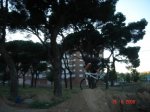 y1pO0h1y0emVSJmzAzMuGTcJ3TwshnMnEOjsWaVUDeJ3EybcPE6Iv_Ujth7uLVaOs3bcZGQCtWU3U4[1].jpg