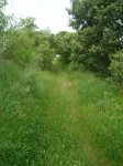 DSCN3298.JPG