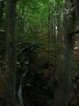 DSCN3306.JPG