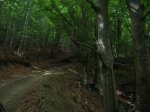 DSCN3307.JPG