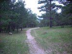 DSCN0410 (Medium).jpg