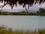 04072008175.jpg