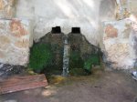 IMG_8048 (Small).JPG