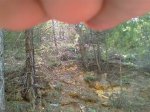 IMAG0079.jpg
