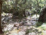 IMAG0080.jpg