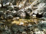 IMAG0082.jpg